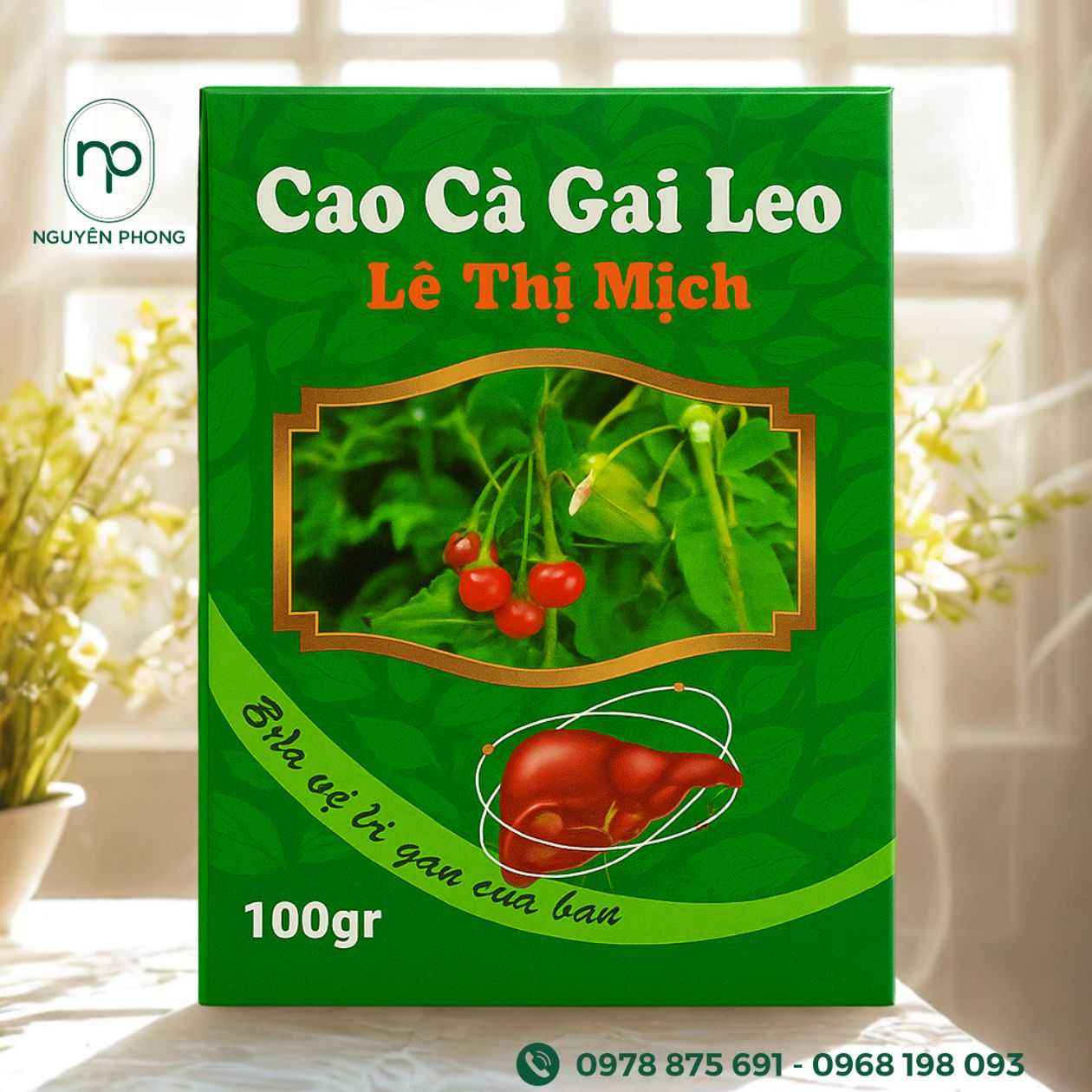 mẫu hộp đựng cà gai leo